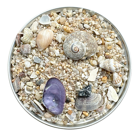 Beach Sand 'Cornish Walk' 500g