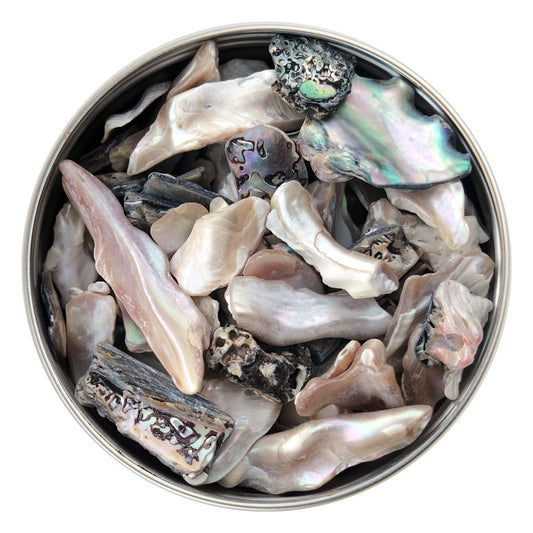 Tumbled Abalone Shell Large, 50g