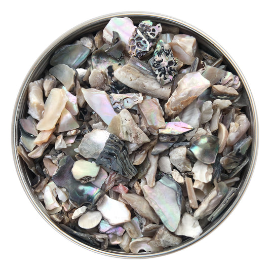 Tumbled Abalone Shell Small, 50g
