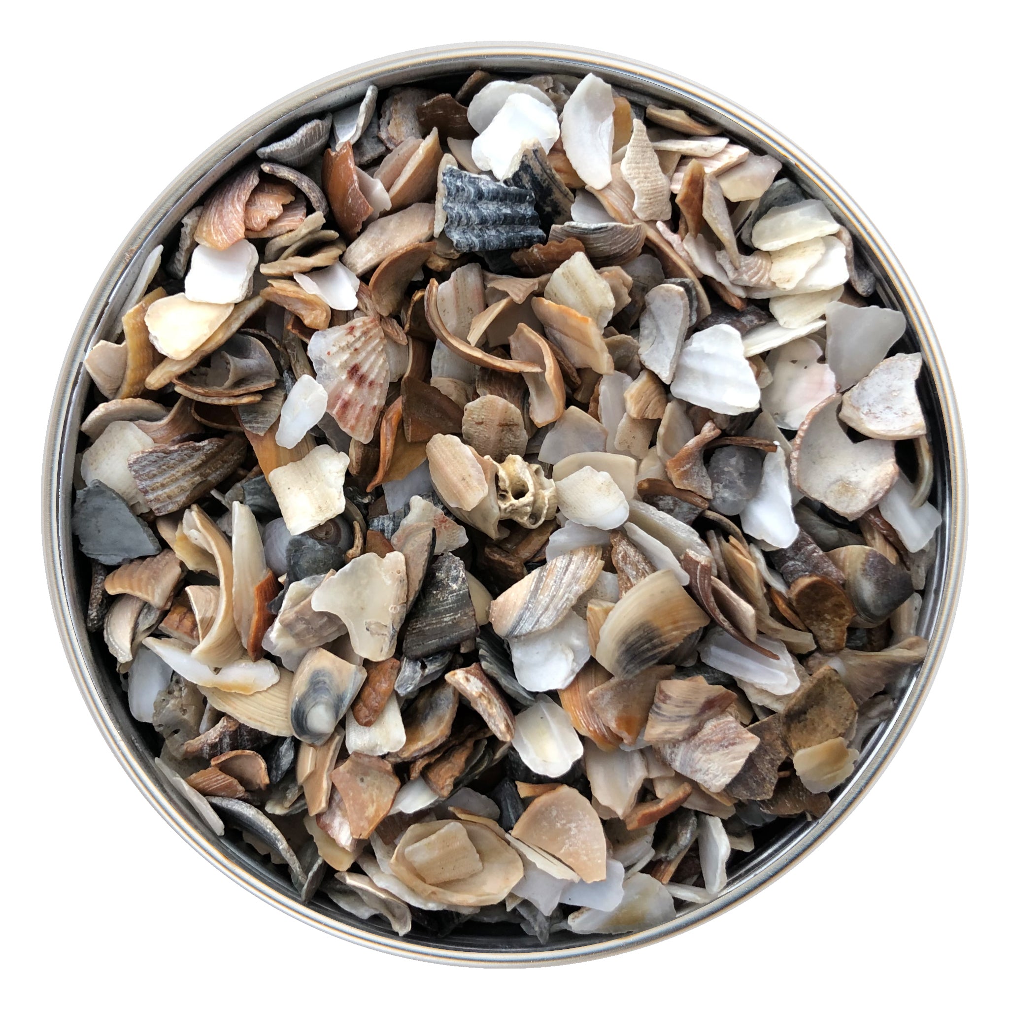 Crushed Seashell 200g – Resin Pepper